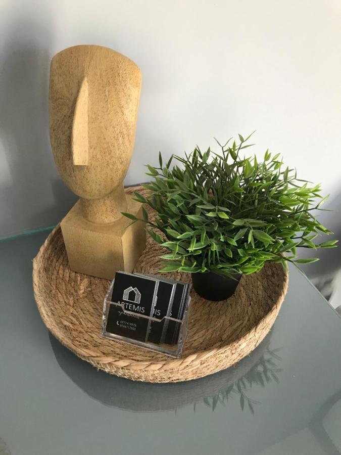 Artemis Apartments دياكوبتو المظهر الخارجي الصورة