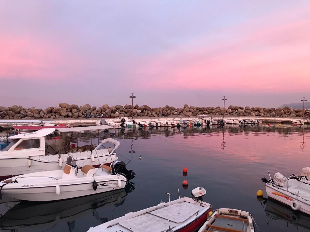 Artemis Apartments دياكوبتو المظهر الخارجي الصورة